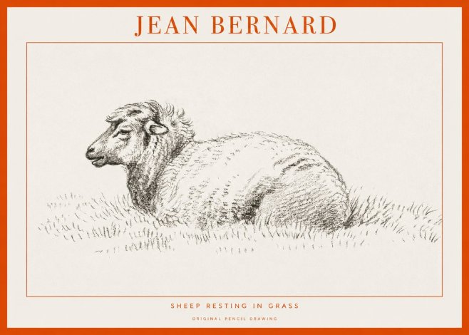 Jean Bernard Sheep Resting in Grass No1 - Plakat