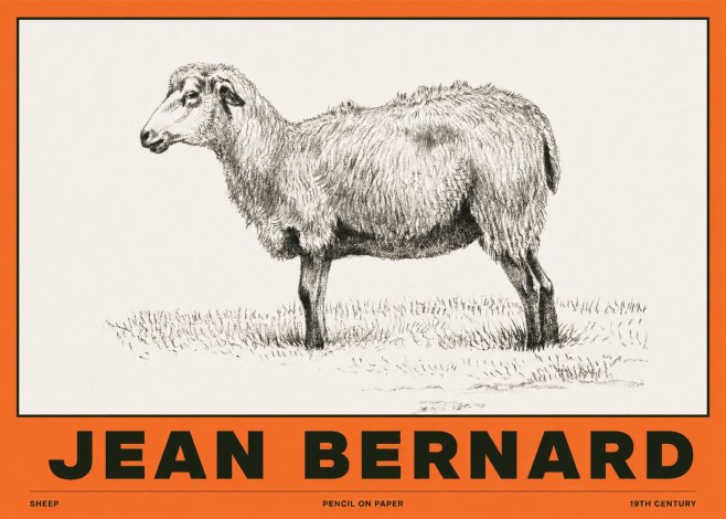 Jean Bernard Sheep No2 - Plakat