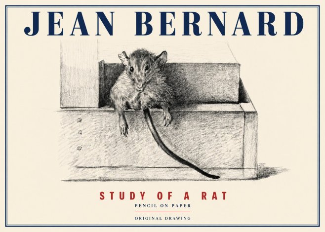 Jean Bernard Study of a Rat I No4 - Plakat