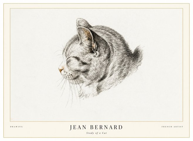Jean Bernard Study of a Cat I No1 - Plakat