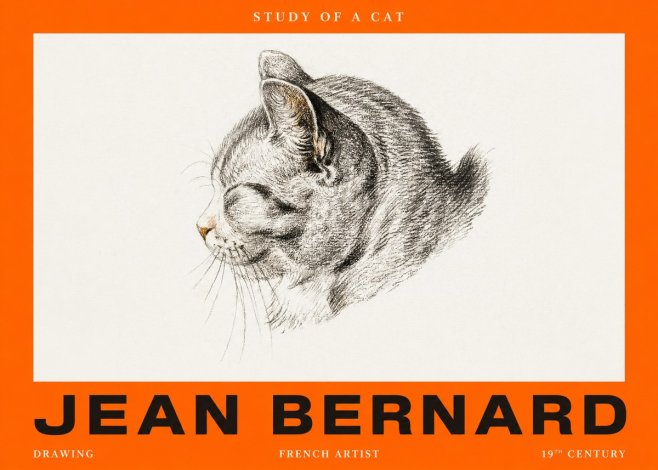 Jean Bernard Study of a Cat I No2 - Plakat
