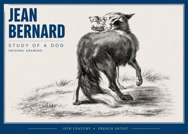Jean Bernard Study of a Dog II No4 - Plakat