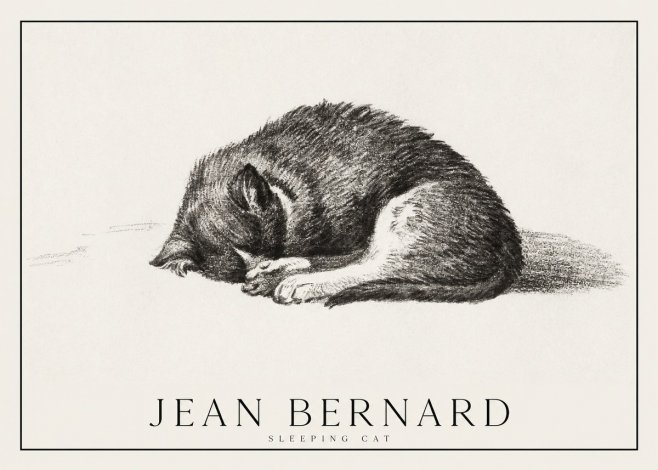 Jean Bernard Sleeping Cat III No1 - Plakat