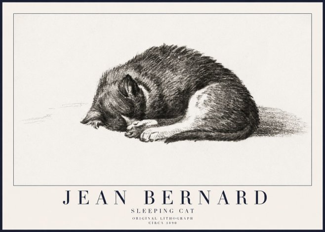 Jean Bernard Sleeping Cat III No6 - Plakat