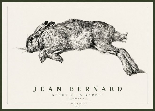 Jean Bernard Study of a Rabbit No1 - Plakat