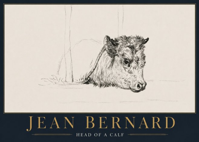 Jean Bernard Study of a Calf I No5 - Plakat