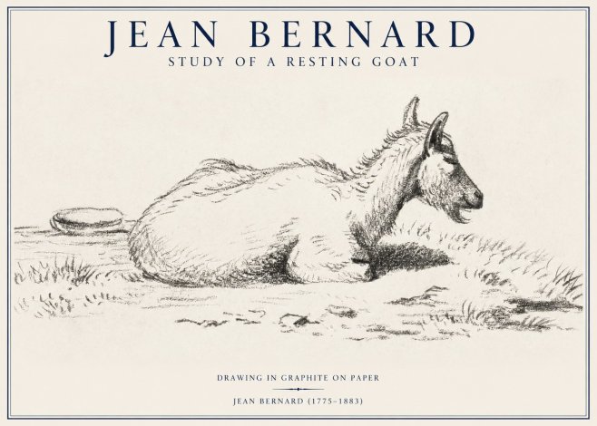 Jean Bernard Study of a Resting Goat No1 - Plakat