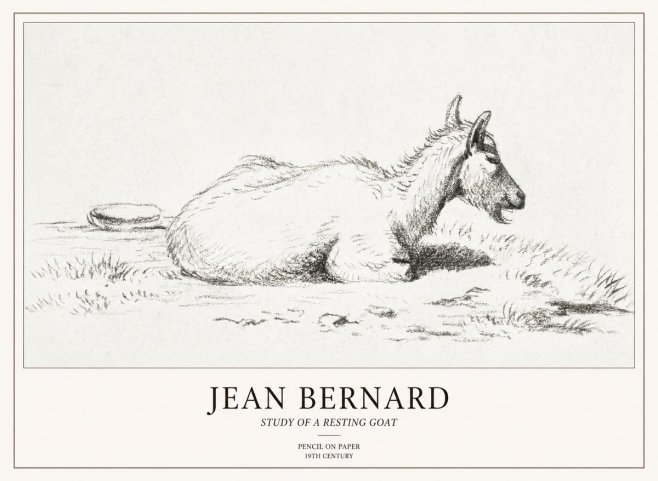 Jean Bernard Study of a Resting Goat No2 - Plakat