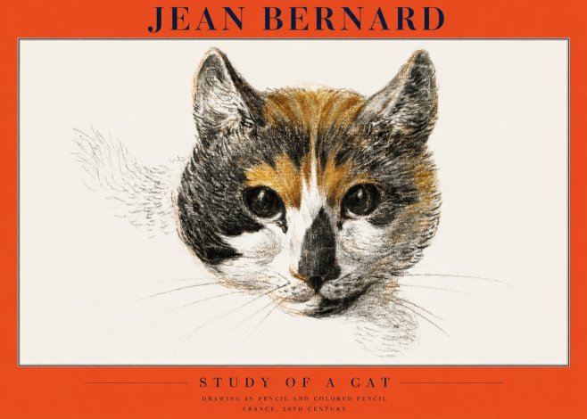 Jean Bernard Study of a Cat II No2 - Plakat