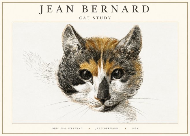 Jean Bernard Study of a Cat II No3 - Plakat