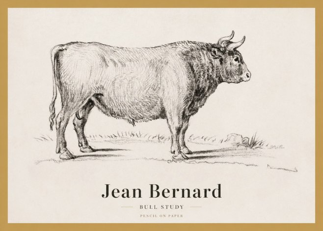 Jean Bernard Study of a Bull I No4 - Plakat