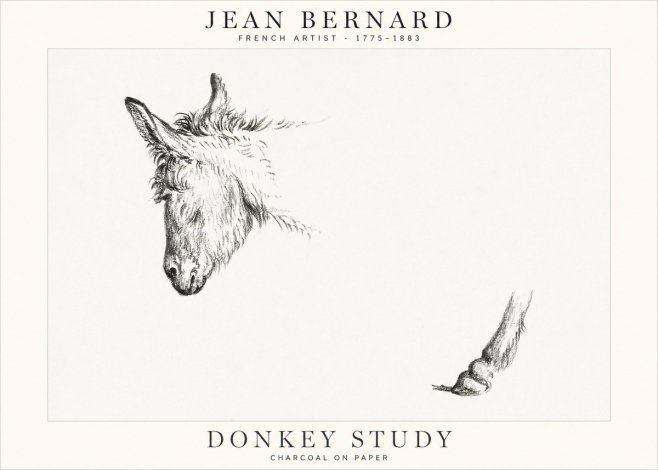 Jean Bernard Study of a Donkey II No2 - Plakat
