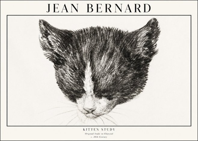 Jean Bernard Cat Study V No4 - Plakat