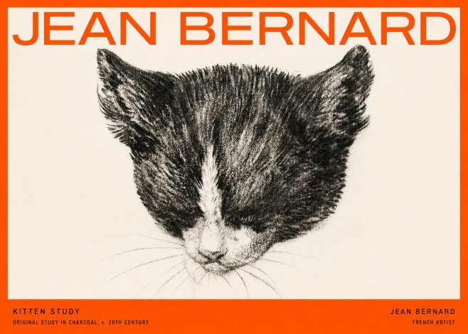 Jean Bernard Cat Study V No5 - Plakat