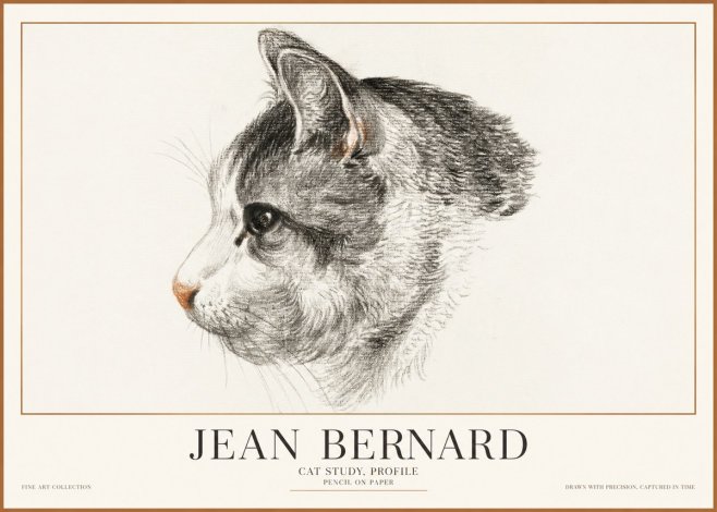Jean Bernard Cat Study, Profile No1 - Plakat
