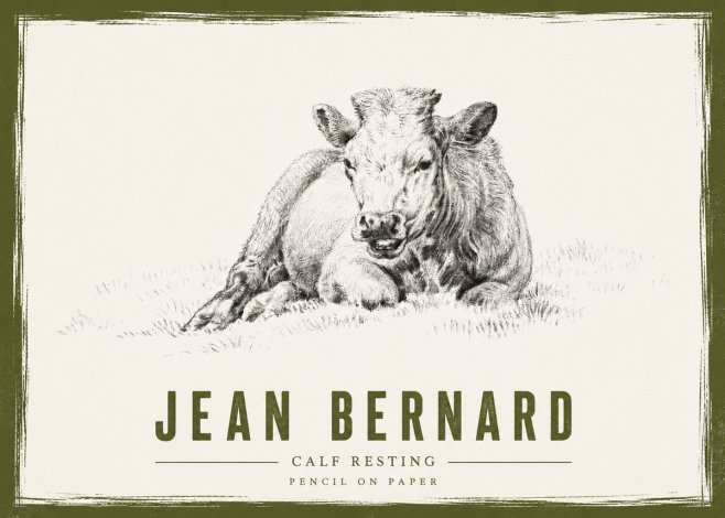 Jean Bernard Calf Resting No4 - Plakat