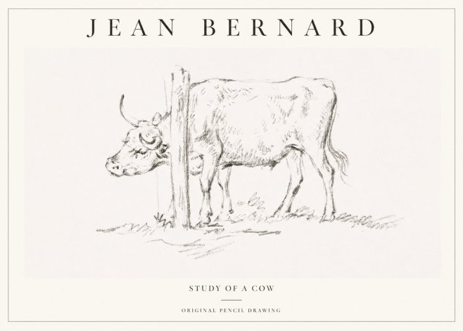 Jean Bernard Study of a Cow VII No1 - Plakat