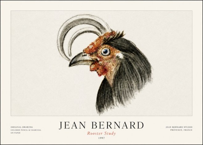 Jean Bernard Rooster Study No1 - Plakat