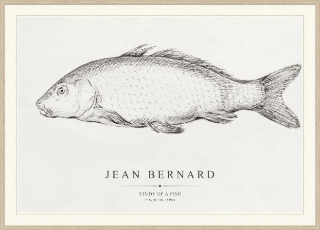 Jean Bernard Study of a Fish III No1 - Plakat