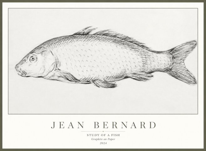 Jean Bernard Study of a Fish III No3 - Plakat