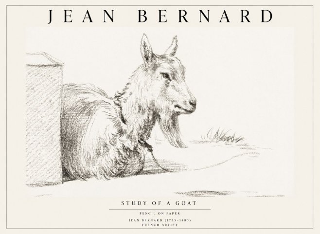 Jean Bernard Study of a Goat IV No1 - Plakat
