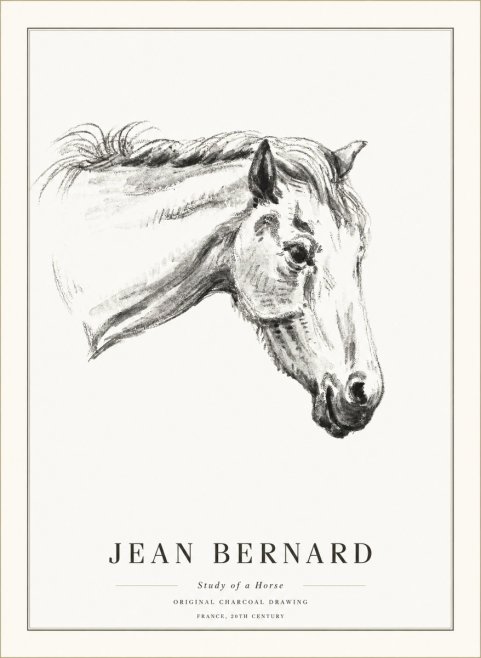 Jean Bernard Study of a Horse VIII No5 - Plakat