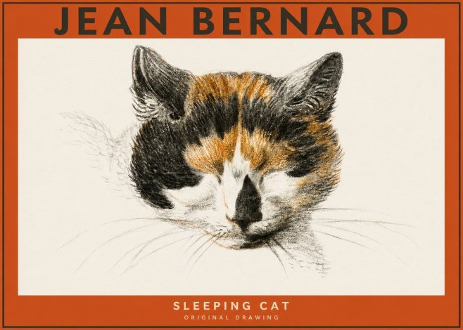 Jean Bernard Cat Study VIII No5 - Plakat