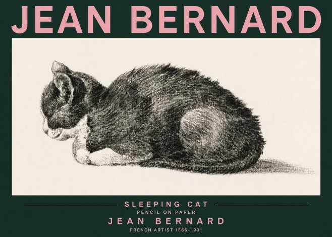 Jean Bernard Sleeping Cat VII No3 - Plakat