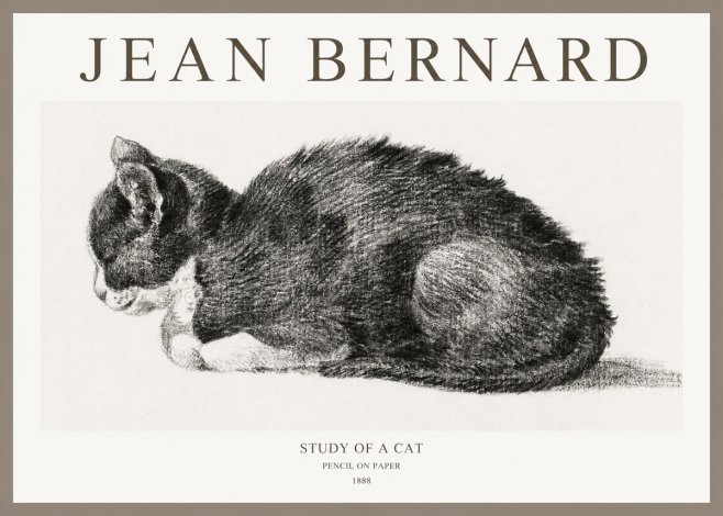 Jean Bernard Sleeping Cat VII No6 - Plakat