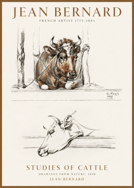 Jean Bernard Studies of Cattle III No1 - Plakat
