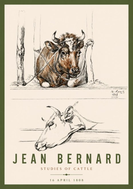 Jean Bernard Studies of Cattle III No4 - Plakat