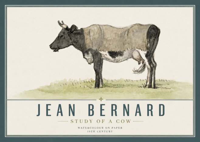 Jean Bernard Study of a Cow IX No5 - Plakat