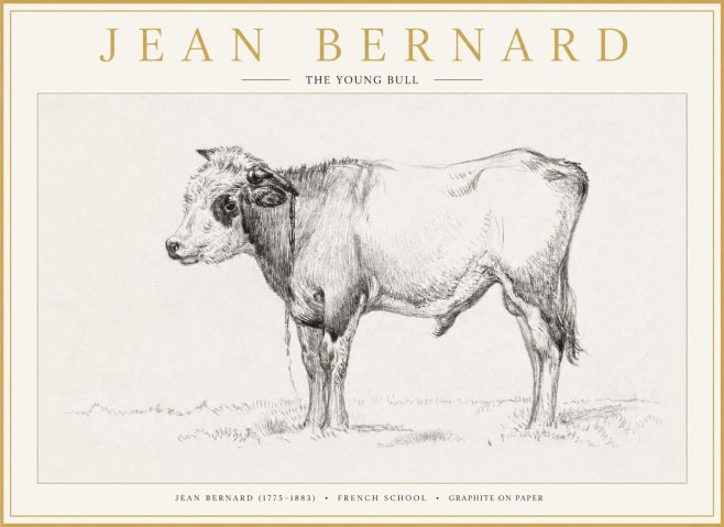 Jean Bernard The Young Bull No1 - Plakat