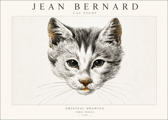 Jean Bernard Cat Study IX No6 - Plakat