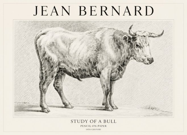 Jean Bernard Study of a Bull IV No1 - Plakat