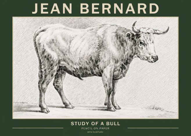 Jean Bernard Study of a Bull IV No2 - Plakat