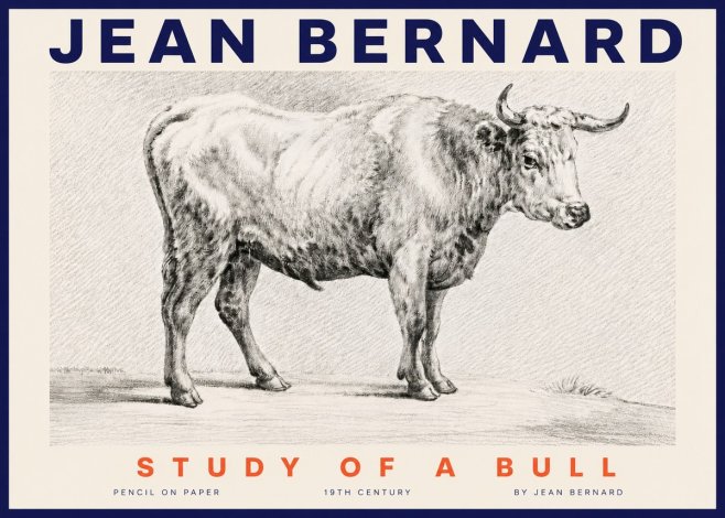 Jean Bernard Study of a Bull IV No4 - Plakat