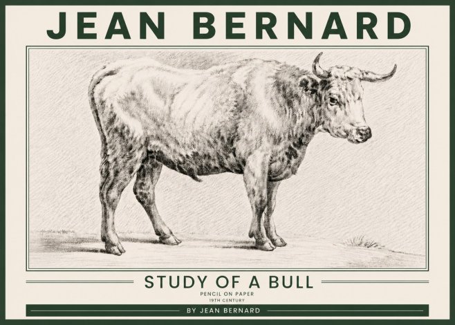 Jean Bernard Study of a Bull IV No5 - Plakat
