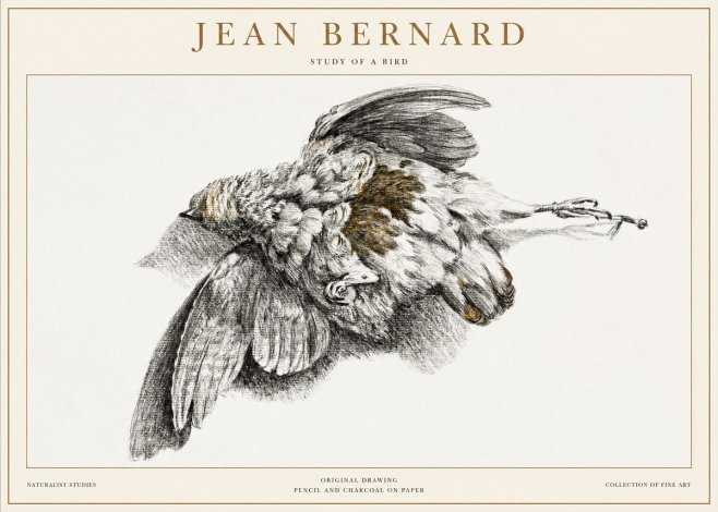 Jean Bernard Study of a Bird III No1 - Plakat