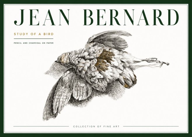 Jean Bernard Study of a Bird III No4 - Plakat