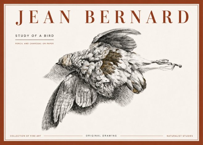 Jean Bernard Study of a Bird III No6 - Plakat