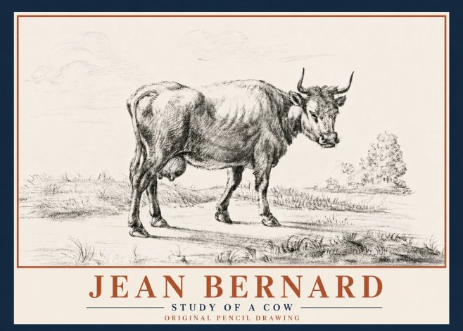 Jean Bernard Study of a Cow XII No5 - Plakat