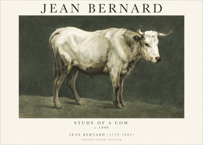 Jean Bernard Study of a Cow C. 1890 No1 - Plakat