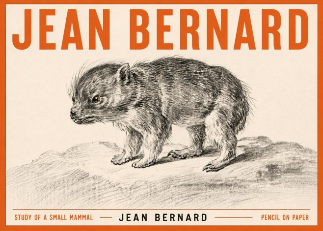 Jean Bernard Study of a Small Mammal No3 - Plakat