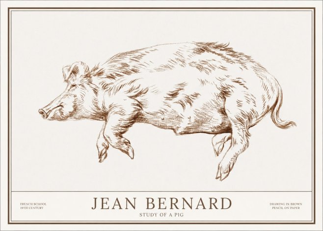Jean Bernard Study of a Pig II No1 - Plakat