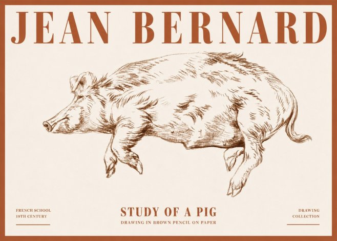 Jean Bernard Study of a Pig II No4 - Plakat