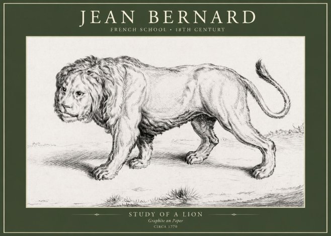 Jean Bernard Study of a Lion II No5 - Plakat