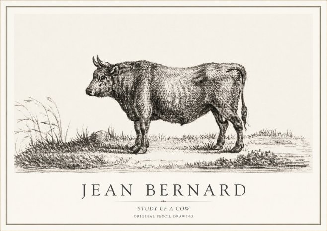 Jean Bernard Study of a Cow XIII No1 - Plakat