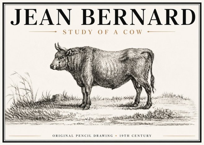 Jean Bernard Study of a Cow XIII No6 - Plakat