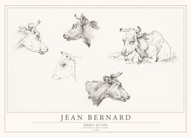 Jean Bernard Studies of Cows I No1 - Plakat